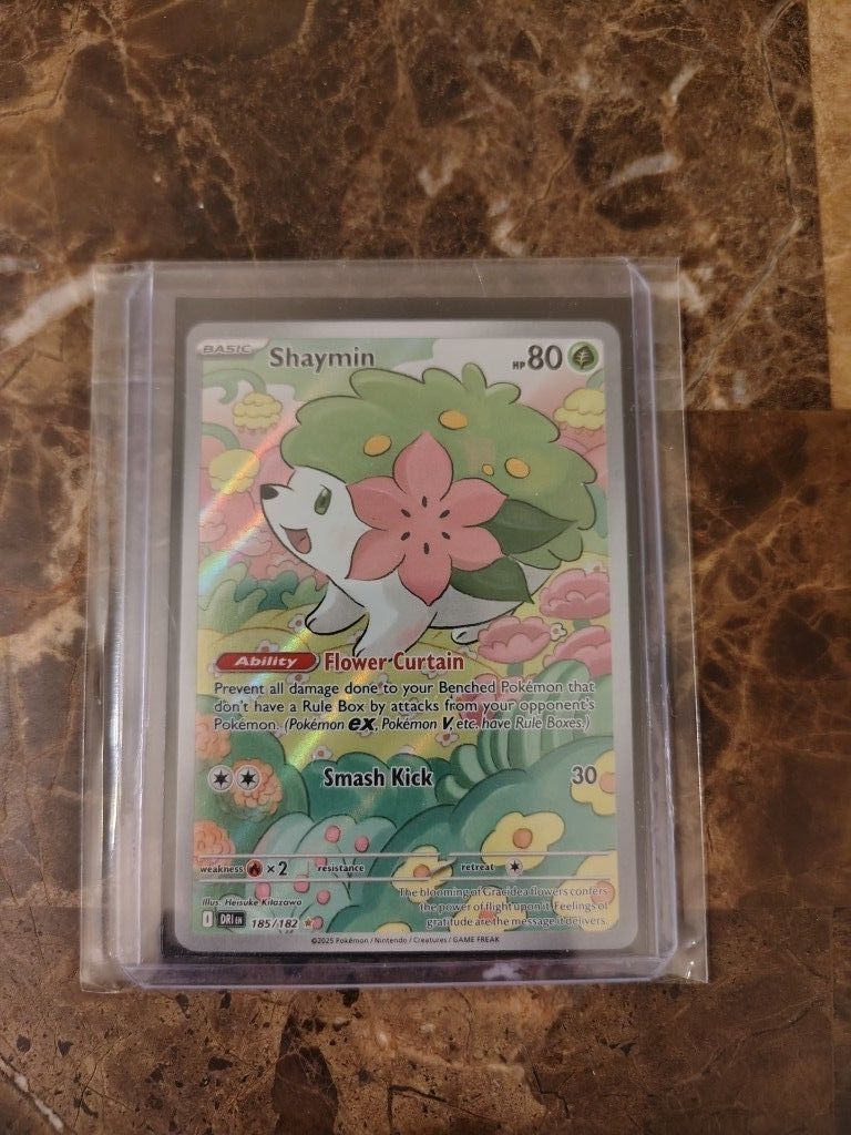 Shaymin SI🔥