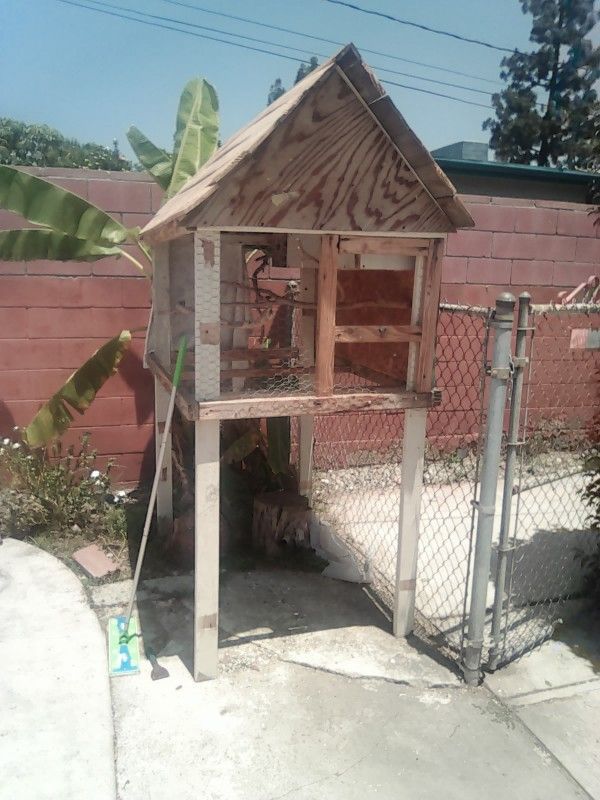 Bird Cage
