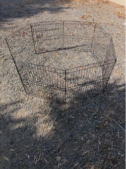 Fans, AC unit and dog cages and Kids sports lamp