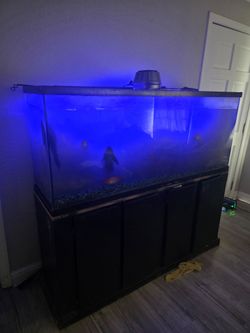 120 gallon fish tank.