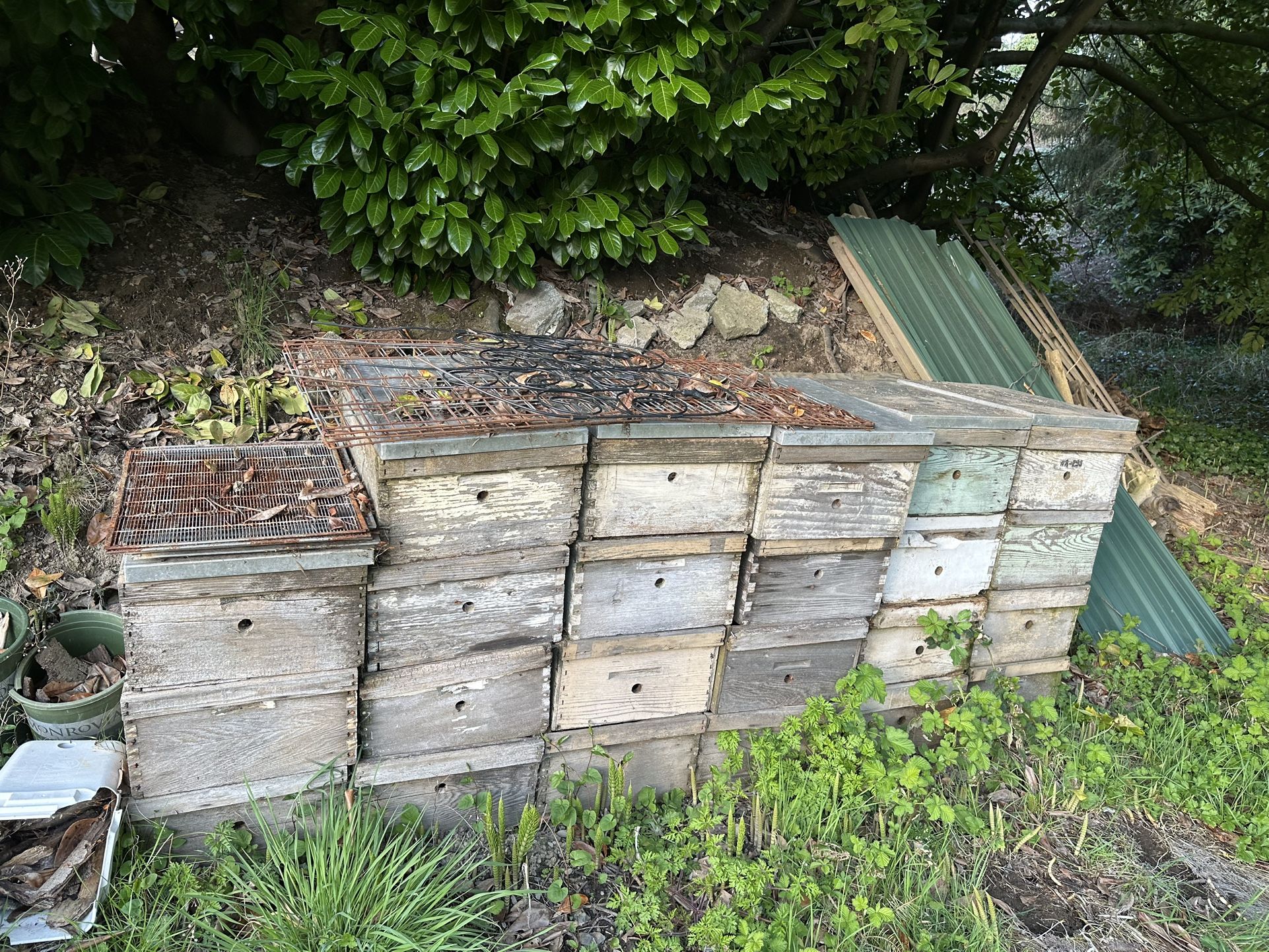 Bee Boxes, Bee Hives