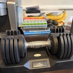 Flybird 25lb adjustable dumbbell 