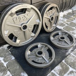 VTX Brand Olympic Weight Plates For Your Home Gym