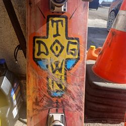 Dog Town Skateboard