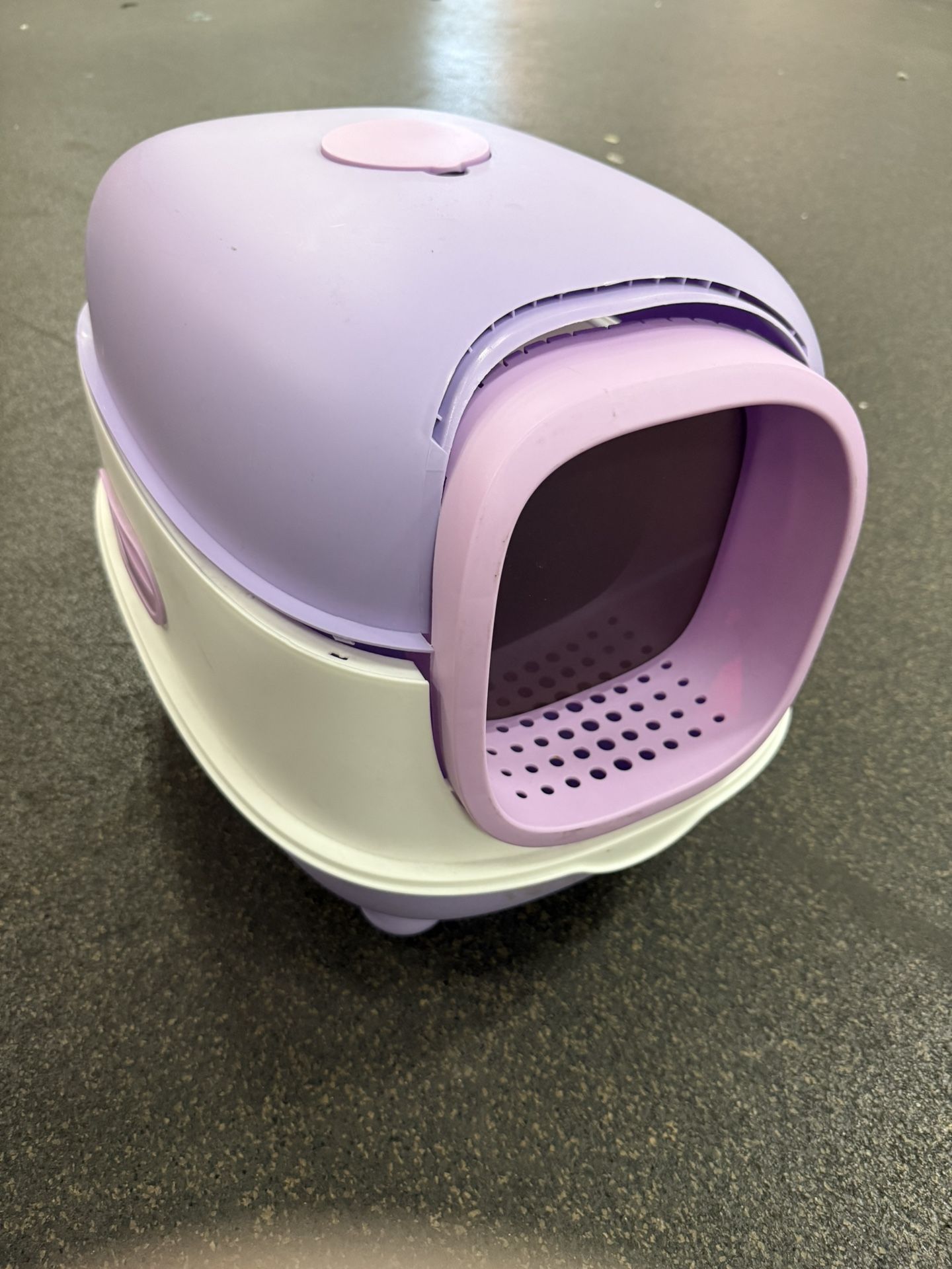 Large Cat Litter Box