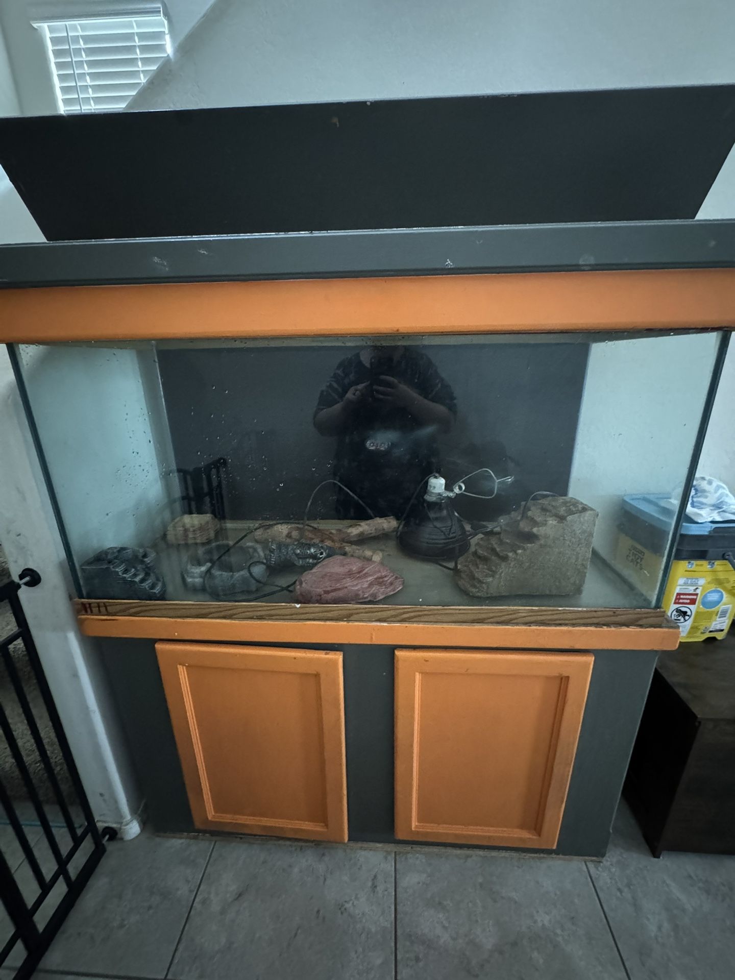 Bearded Dragon Enclosure With Custom Built Stand