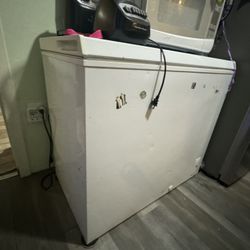 Freezer Storage 