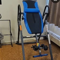 Exerpeutic therapeutic fitness inversion table