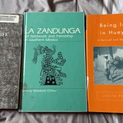 Social Work, Women, and International Studies Books 