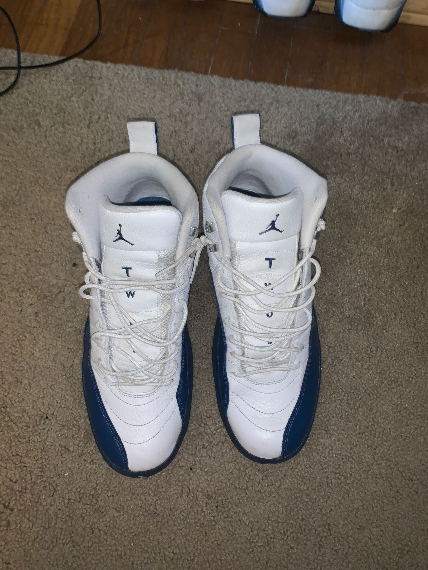 French blue Jordan 12s