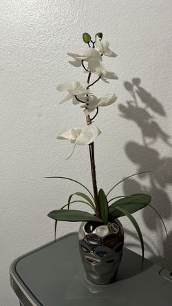 Fake orchid