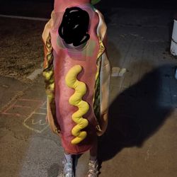 Hot Dog Costume 