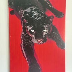 Framed Photo, Wood Framing 