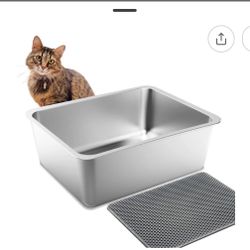 Cat Box