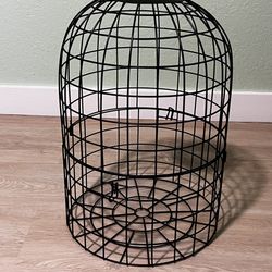 Bird Feeder Protection 
