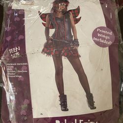 Rebel Fairy Costume