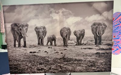 2 Elephant Canvas