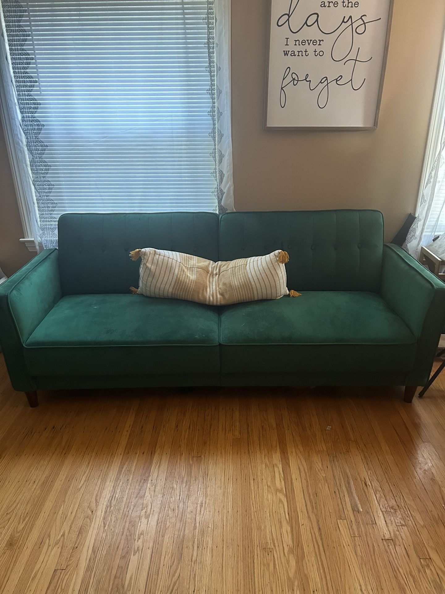 Velvet Futon Couch 