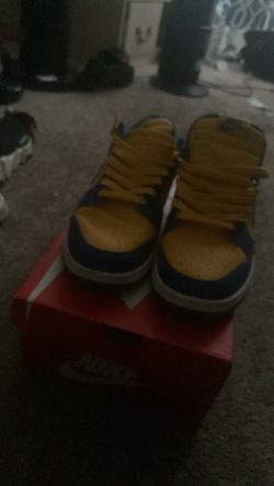 Nike dunk low retro