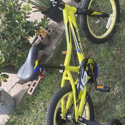 16” Giant animator bike