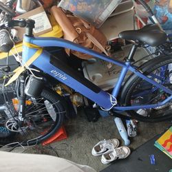 espin E Bike 