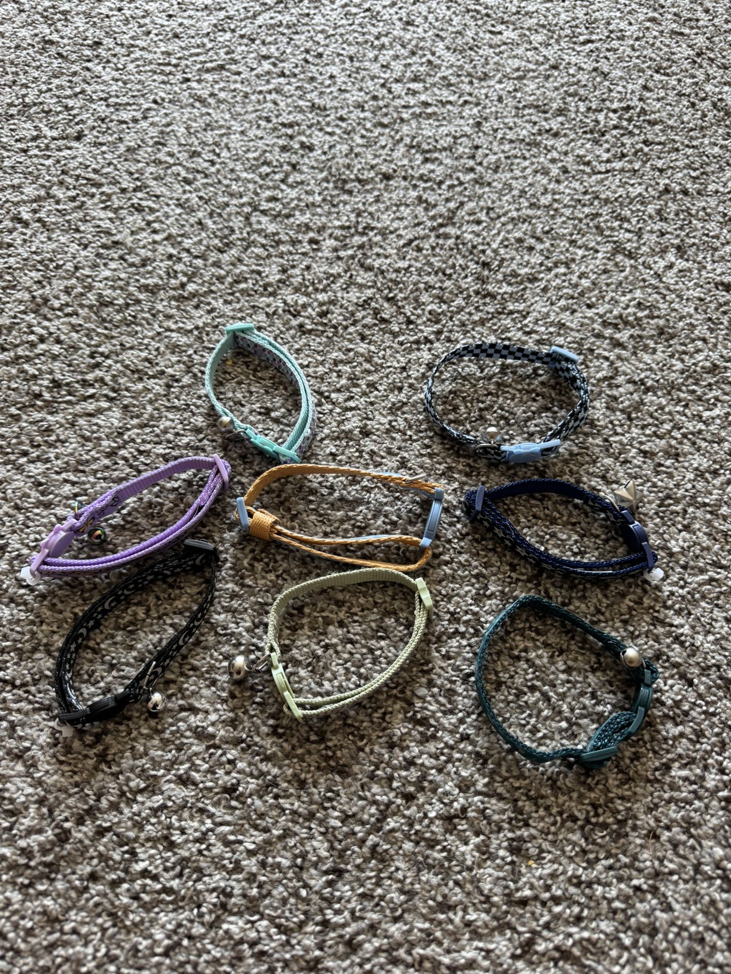 cat collars