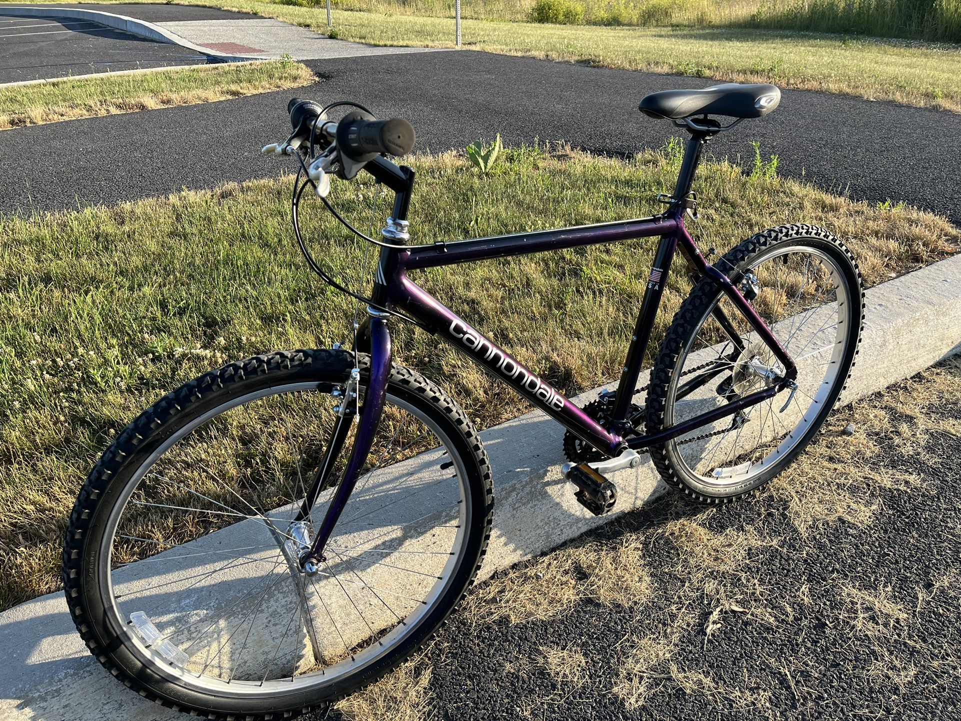 Cannondale M300 SE Mountain Bike for Sale in Silver Spring PA