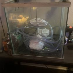 60 Gallon Cube