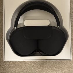 “Black” Airpod Maxes 