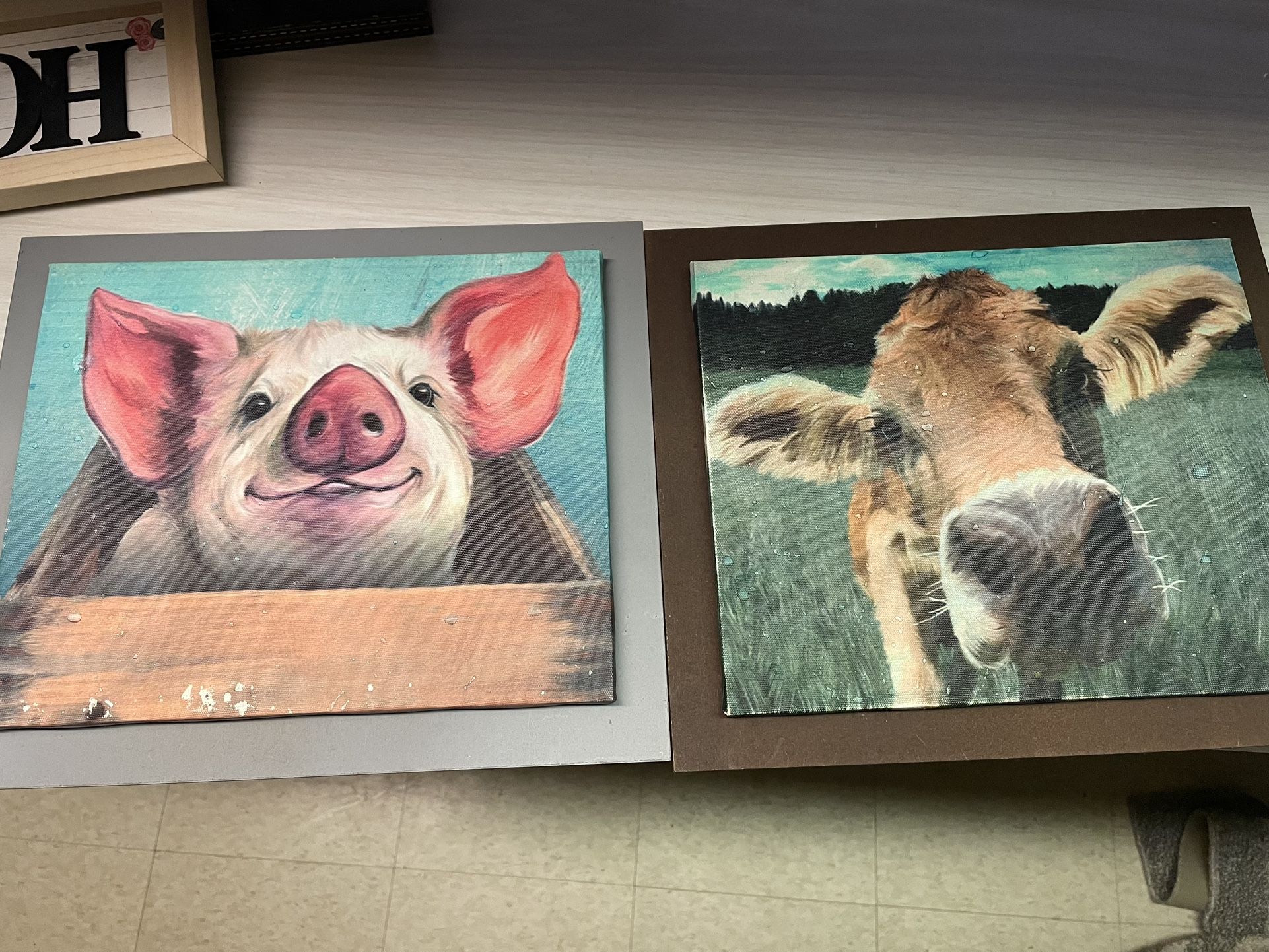 2 Cute Animal Pictures