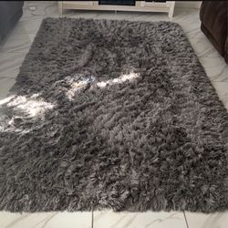 Beautiful Gray Rug