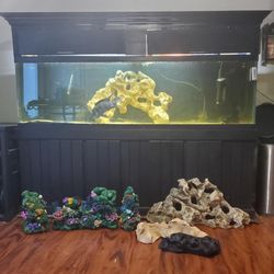  125 Gallon Fish Tank All Included