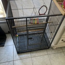 Bird Cage