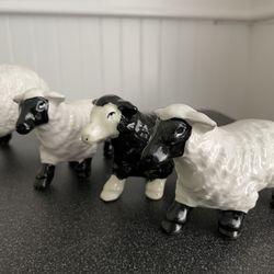 Sheep Figurines – Four Total, With Black Sheep, Excellent Condition