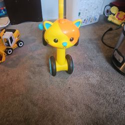 Ridding Buddy 🐈