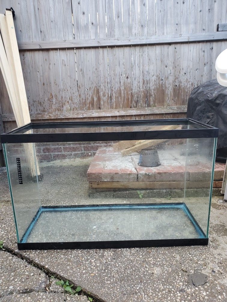 Fish Tank
