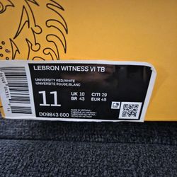 Nike Lebron Witness VI TB Shoes Size 11