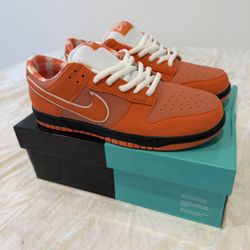 Nike Dunk Orange Lobster Size 9.5