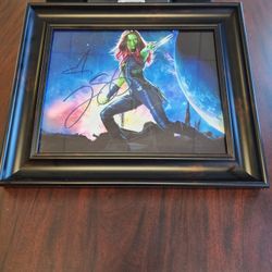 Guardians Of The Galaxy  GAMORA Frame
