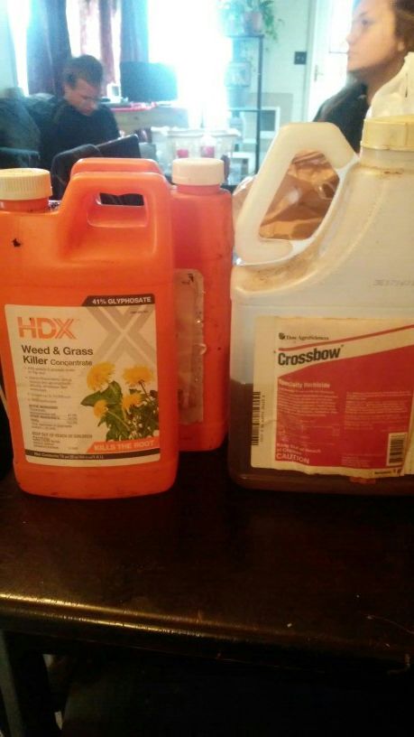 Grass and Weed killer concentrated