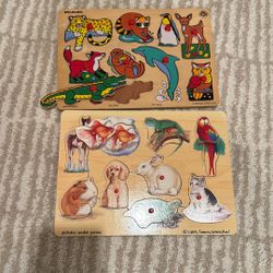 Kids Wooden Puzzles Set