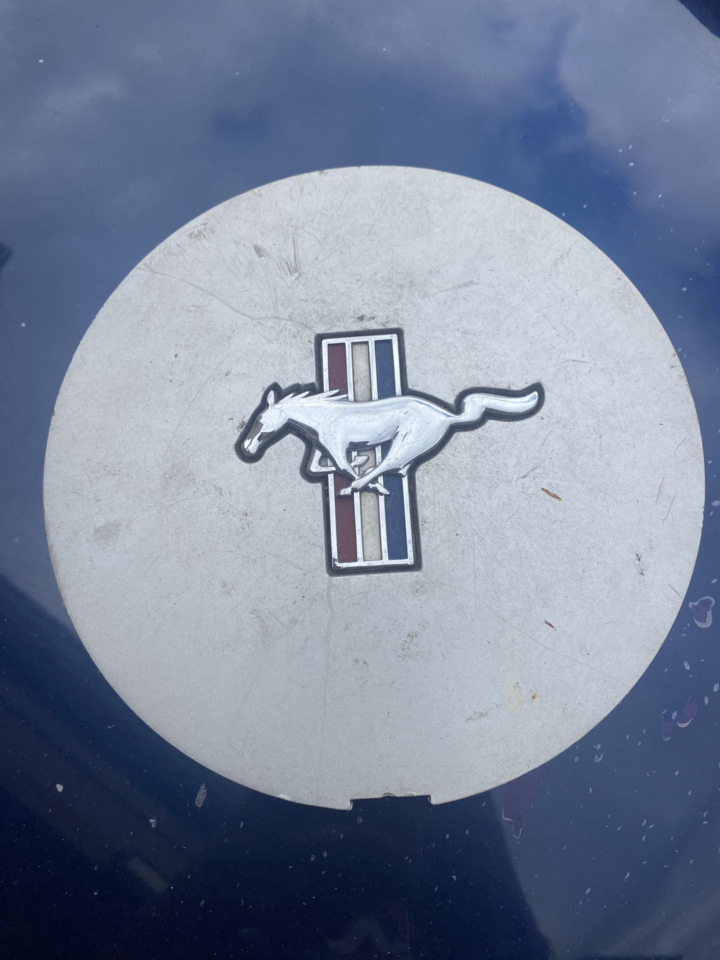 Mustang