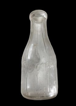 Vintage Borden's Milk Bottle