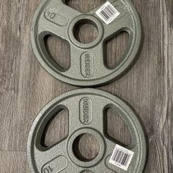 Weight Plates 10lbs each