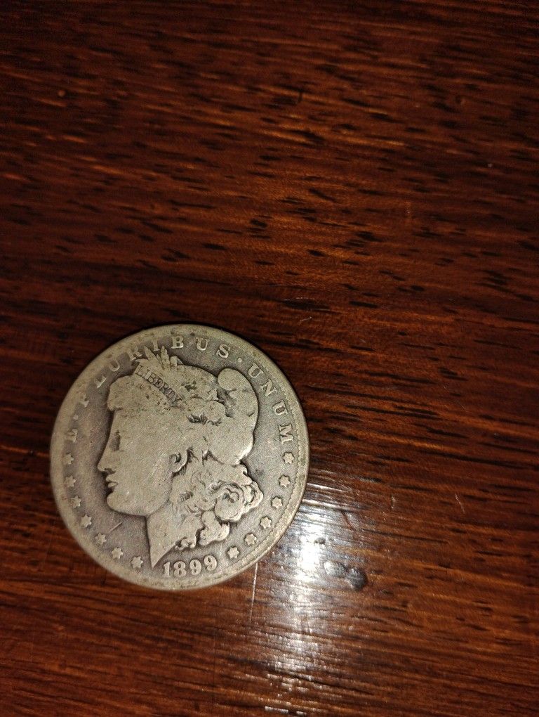 Morgan Silver Dollar