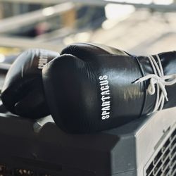 Boxing gloves 10 Oz
