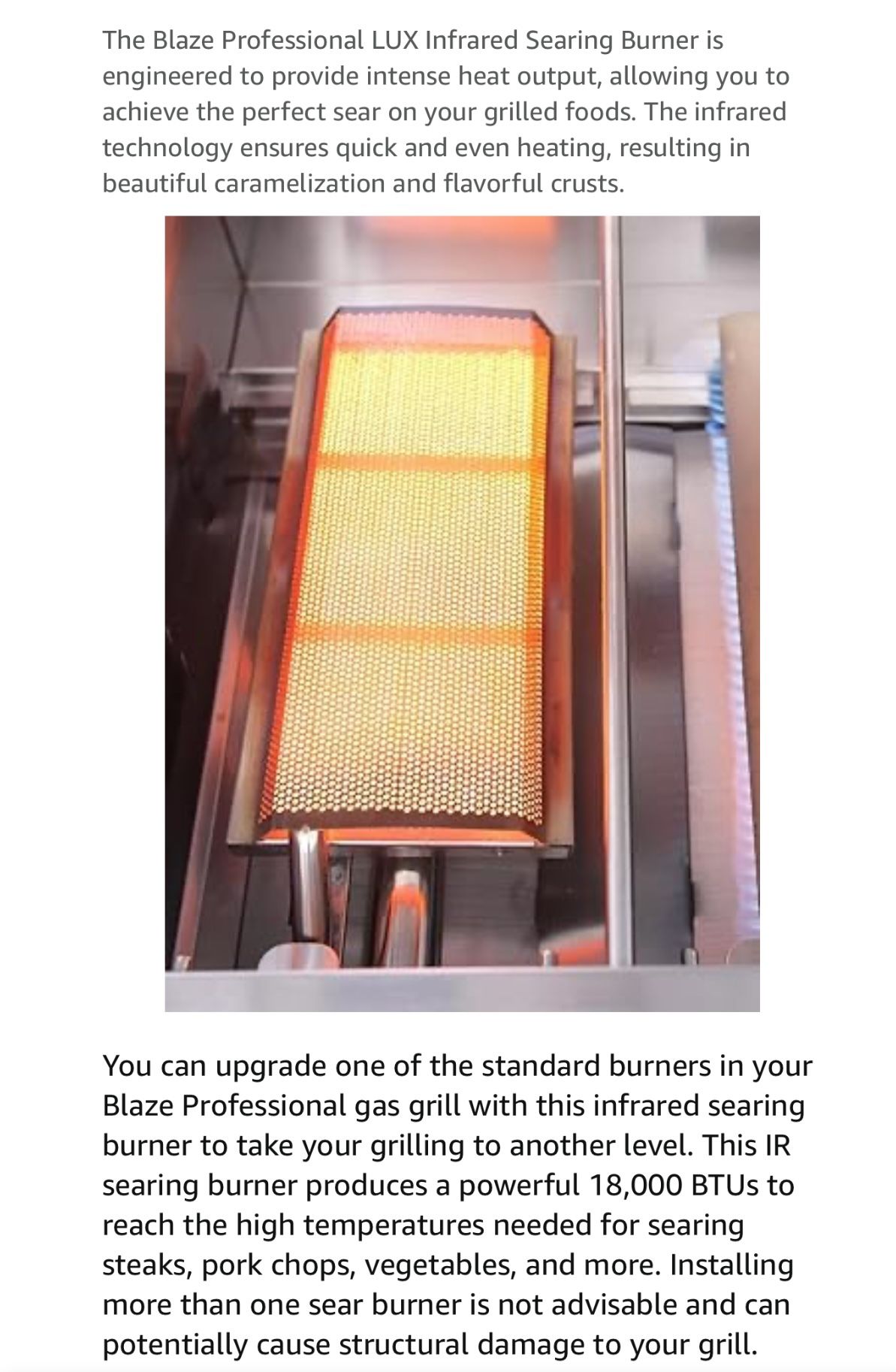 Infrared Searing Burner “Blaze Professional LUX”