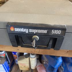 Sentry Safe