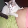 Santos