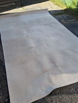 Large Area Rug